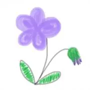 violetの画像