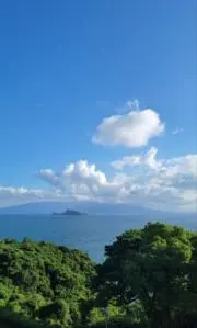 たけたんの画像