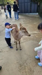 いけだの画像