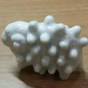 Moniqueの画像