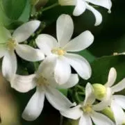 えころ‪‪☺︎‬の画像