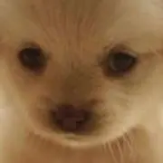悟空