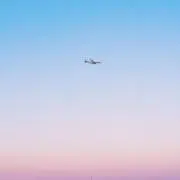 ぴ　おまけ(付)即日発送の画像