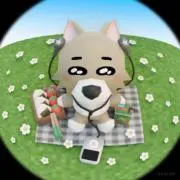 Shellyの画像