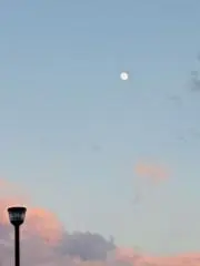 そらの画像