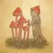 nekoの画像