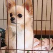 あいるな