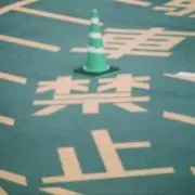 タオオオボケの画像