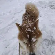 のり