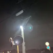 わぁの画像