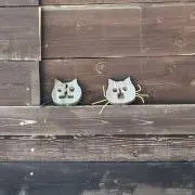 未来の画像