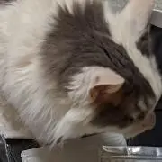 はるるん☆