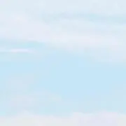 みん