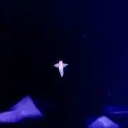 まの画像