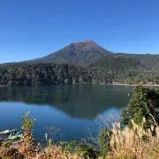 mikiの画像