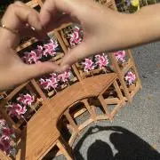 Kの画像