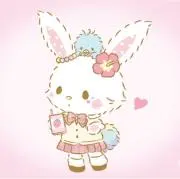ROROの画像