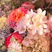文沢の画像