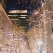 酵母くんの画像