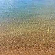 まな