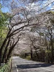 イクサ※プロフ一読ください。の画像