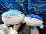 みおの画像