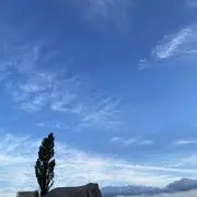 うどんの画像