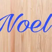 Image of Noel【即日発送】