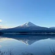 むむむの画像