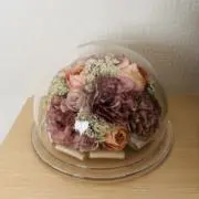 YUCANの画像
