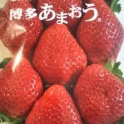 ゆっちの画像