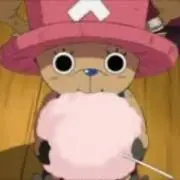 トナの画像
