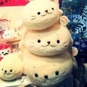 Image of しろたん