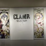ラッコの画像
