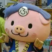 ぽぽの画像