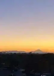 たかゆめの画像