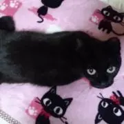 たなかさんの画像