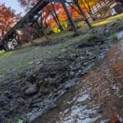 honokaの画像