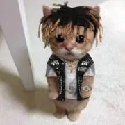 milkの画像