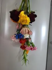 姫神さまの画像
