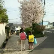 emiの画像