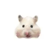 おひさまの画像