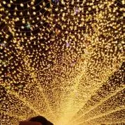サモニの画像