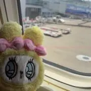 ฅ^•ω•^ฅの画像