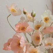 flowerの画像