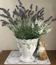 茉莉花茶の画像