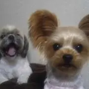 さくらママ
