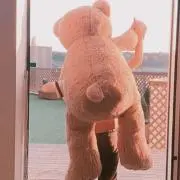 カービィの画像
