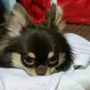 なお