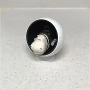 おーこ